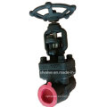 ANSI Forged Carbon Steel A105 Rosca End NPT Globe Valve